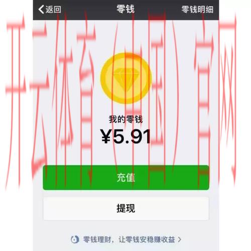 皇冠体育提零钱, 全面解析皇冠体育提零钱的流程与注意事项